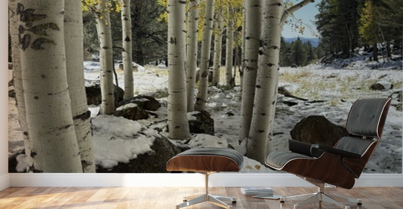 IMG 9854 Wall Murals