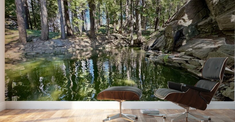 Ohme Gardens reflection pond Wenatchee Wa Wall Murals