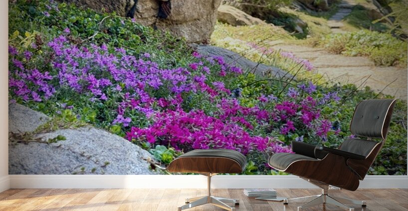 Spring flowers in Ohme Gardens Wall Murals