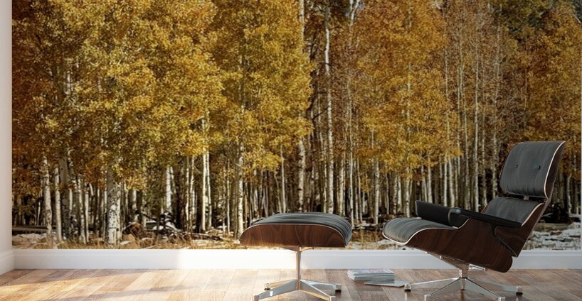 IMG 9899 Wall Murals