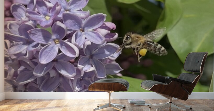 Saving the World Wall Murals