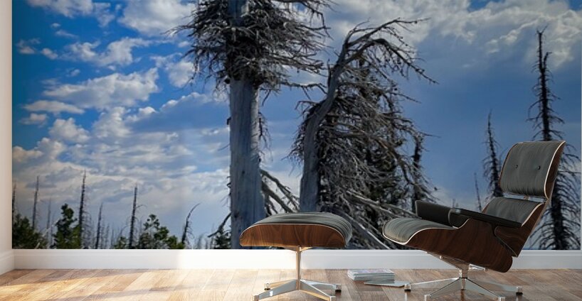 Forest of the dead Wall Murals