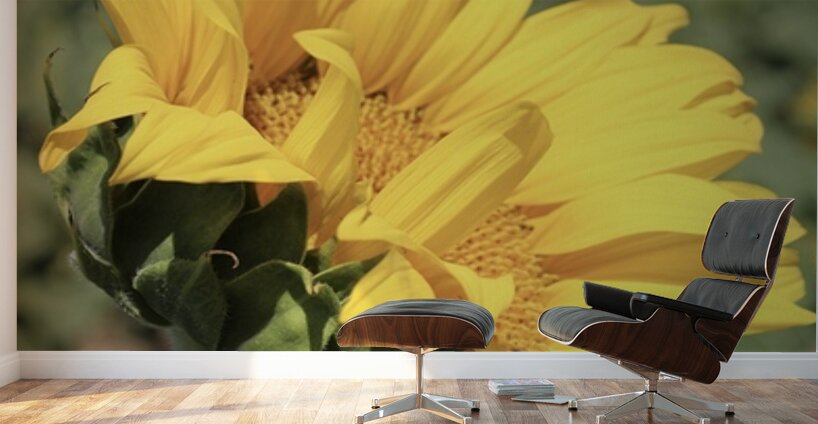 This is my best side Wall Murals