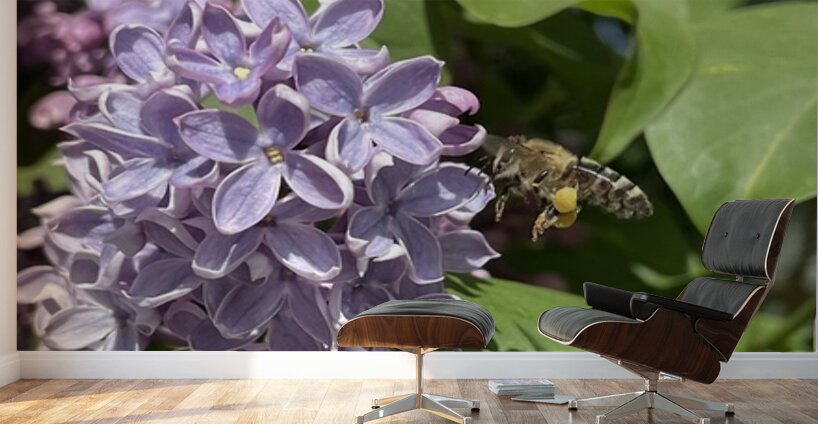 Bee-live  Wall Murals