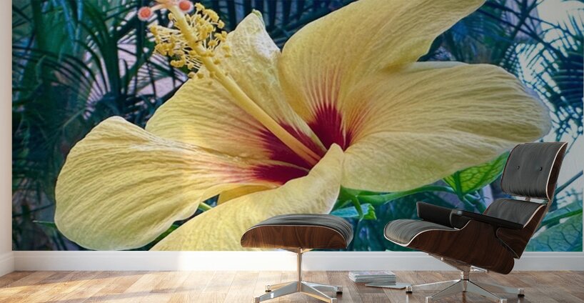 Yellow Hibiscus Wall Murals