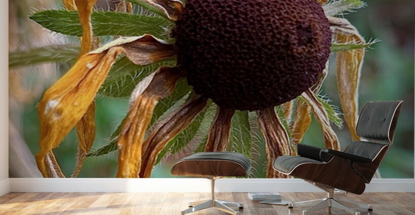 Time Served Wall Murals