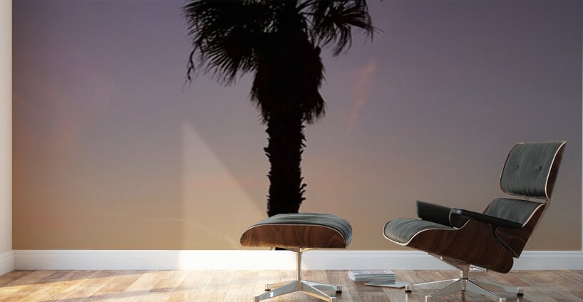 Afterglow Palm Wall Murals