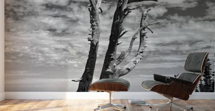 Wenatchee Overlook - black and white Wall Murals