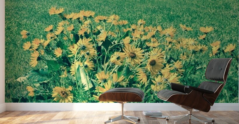 Balsam Root Wall Murals