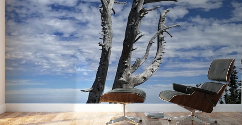 Wentachee Overlook - color Wall Murals