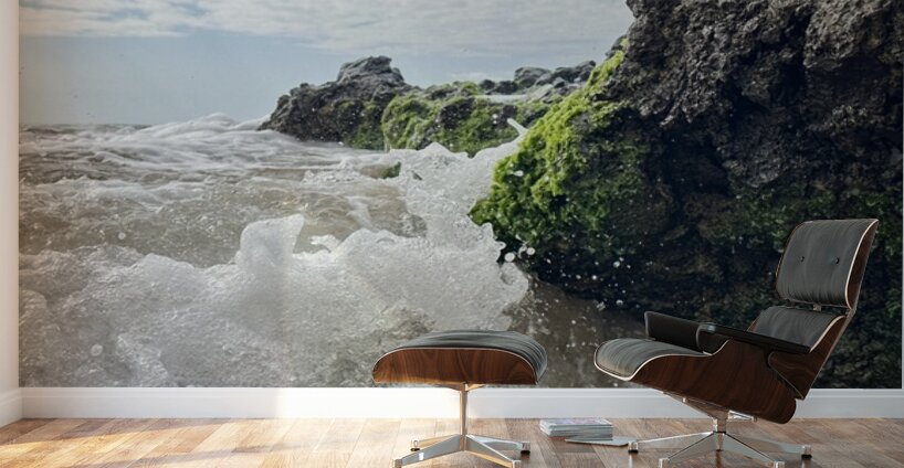 IMG 0842 Wall Murals