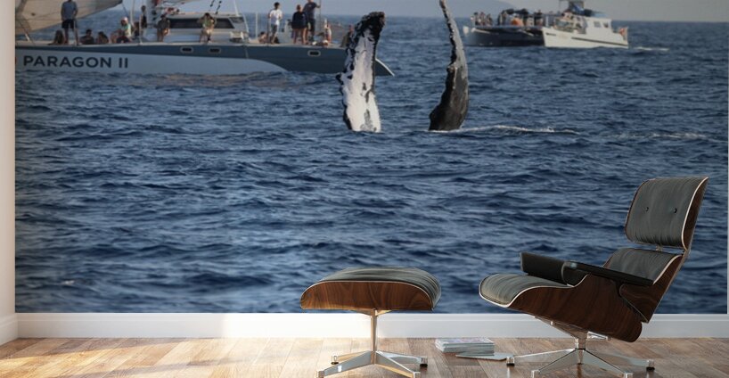 IMG 3367 Wall Murals