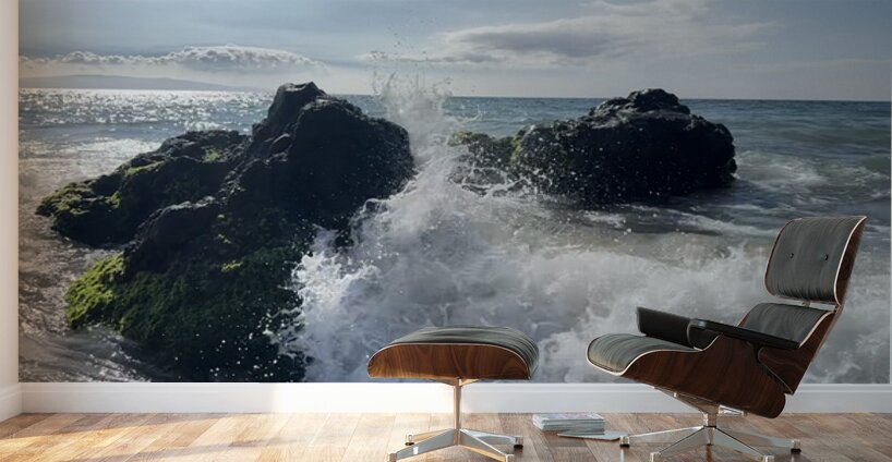 IMG 0939 Wall Murals