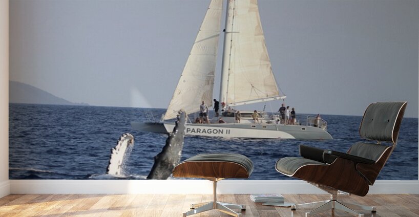 IMG 3372 Wall Murals