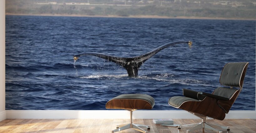 IMG 3379 Wall Murals