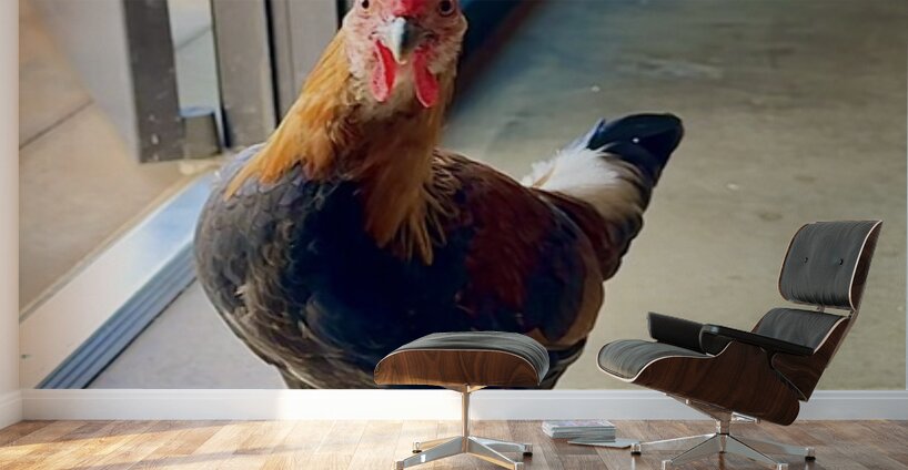 Hello can I help you  Wall Murals