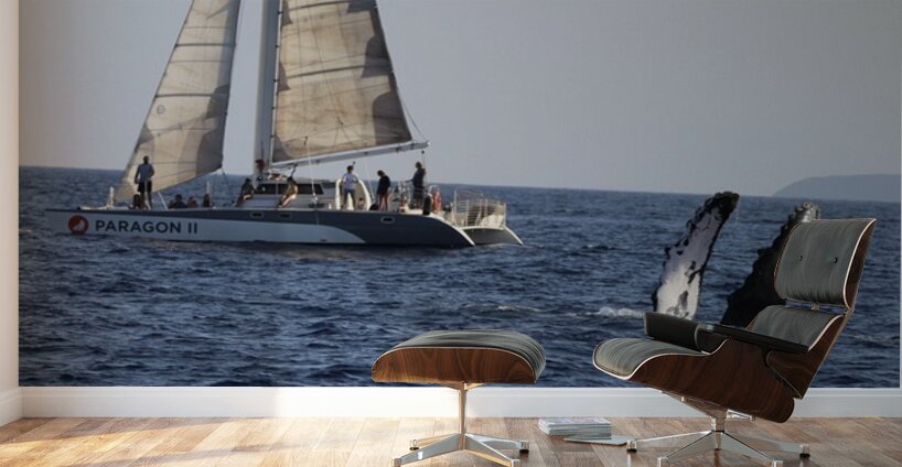 IMG 3370 Wall Murals