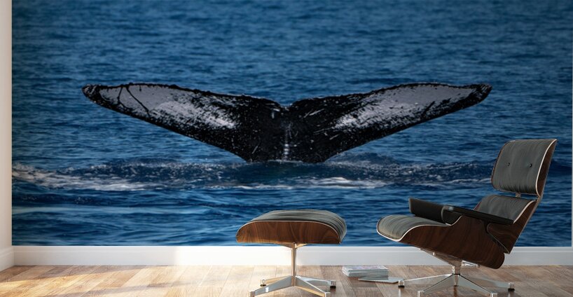 DSC09153 Wall Murals