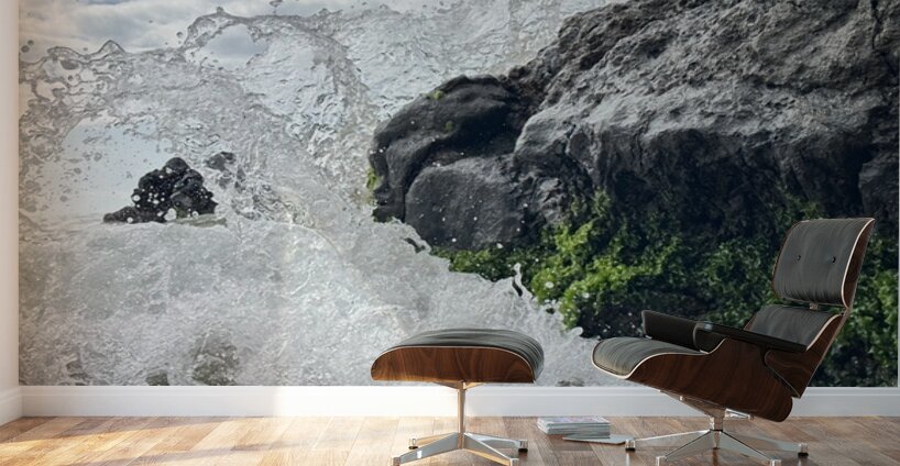 IMG 0828 Wall Murals