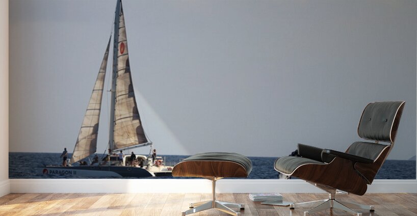 IMG 3371 Wall Murals