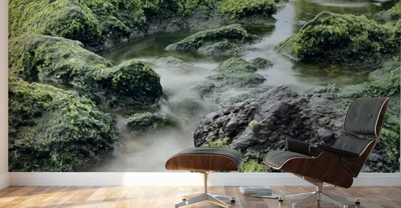 IMG 0839 Wall Murals