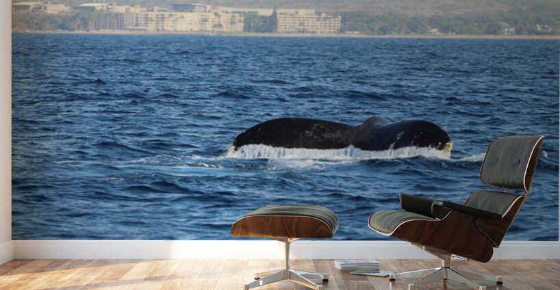 IMG 3391 Wall Murals