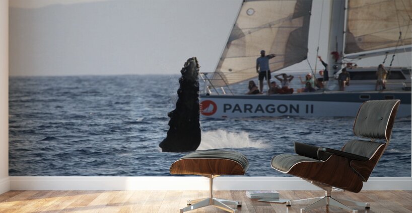 IMG 3364 Wall Murals