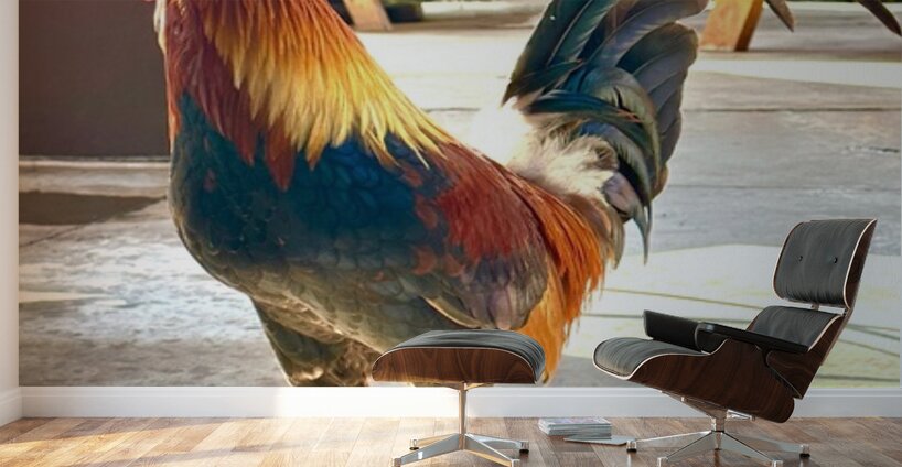 IMG 1103 Copy Wall Murals