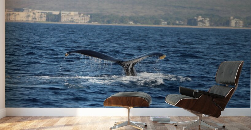 IMG 3392 Wall Murals