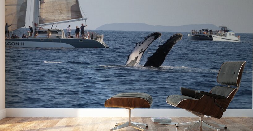 IMG 3369 Wall Murals