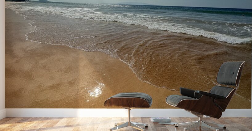 IMG 1038 Wall Murals