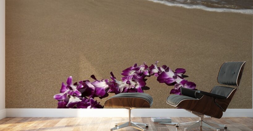 IMG 1727 Wall Murals