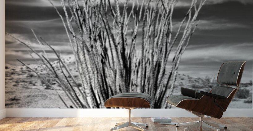 Desert Drama Wall Murals