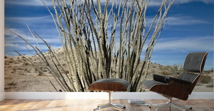 Ocotillo  Wall Murals