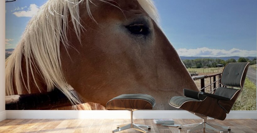 Hay Girl  Wall Murals