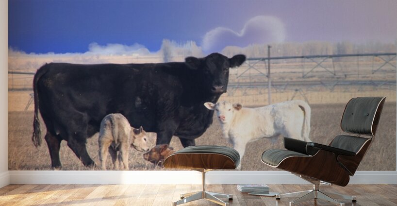Calving Season Wall Murals
