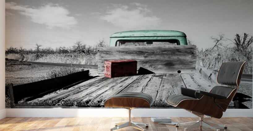 411087A6 03AC 472D AE87 55E0490A2BD9 Wall Murals