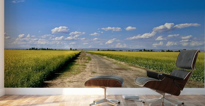 Country Road Wall Murals