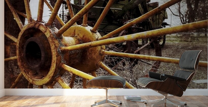 The Wheel of Time Wall Murals