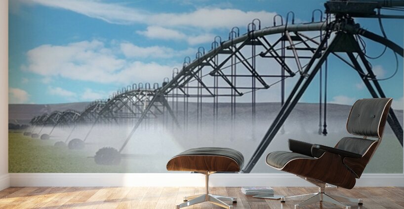 66B8AC6A 6571 4FAB 9070 E89EFFB74593 Wall Murals