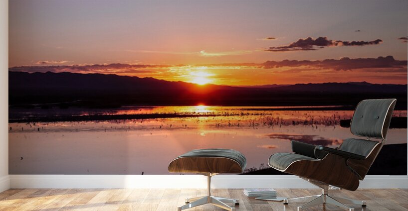 Havasu National Wildlife Refuge 7-18-25 Wall Murals