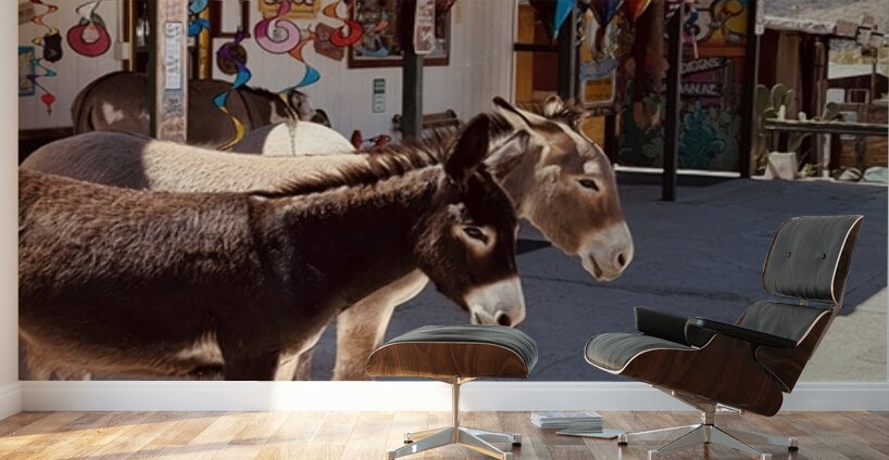 Guardians of Oatman Wall Murals