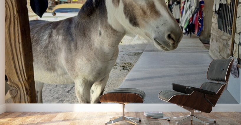 Miss Pickles Wall Murals