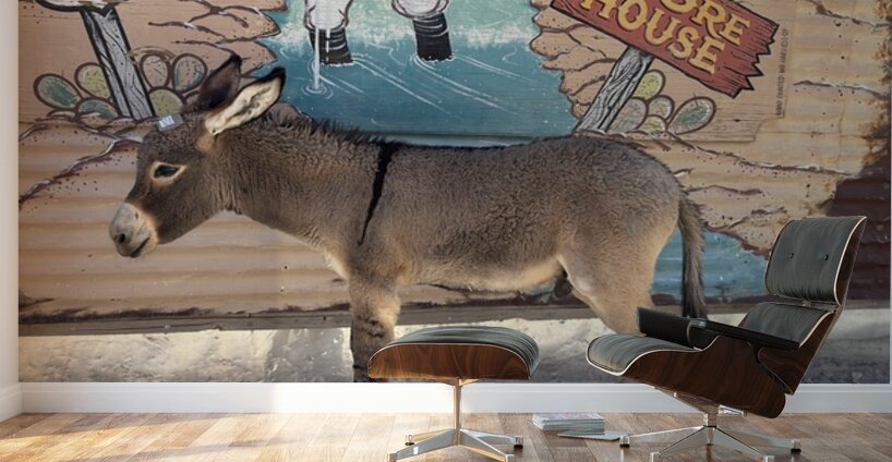 Baby “Ranger” - Oatman Arizona Wall Murals