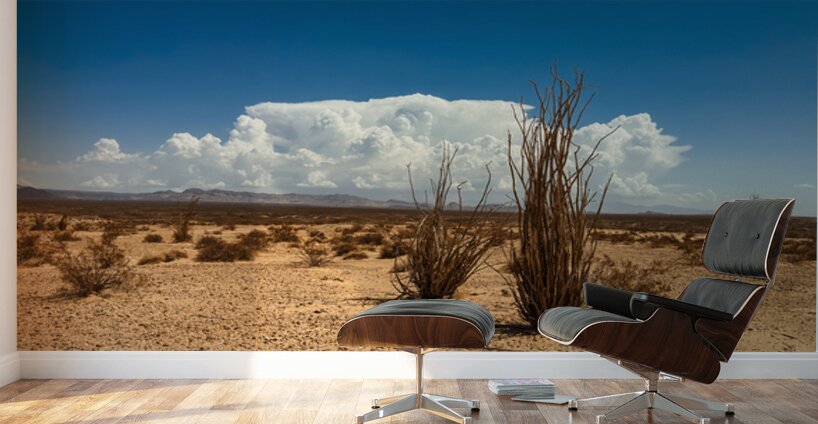 Monsoon Coming Wall Murals