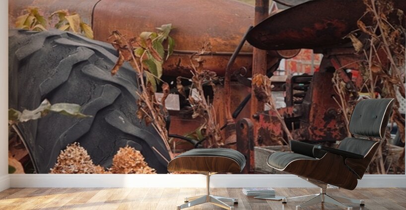 Something in the Orange. Vintage Farmall tractor Wall Murals