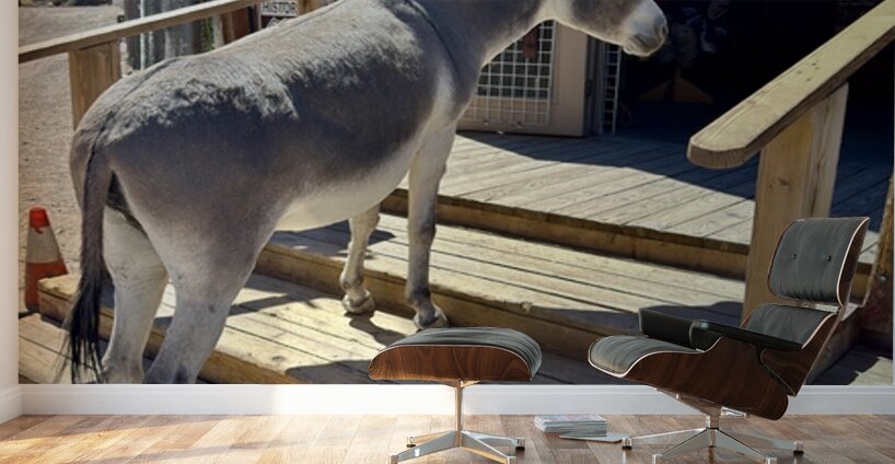 What’s on sale   Wall Murals