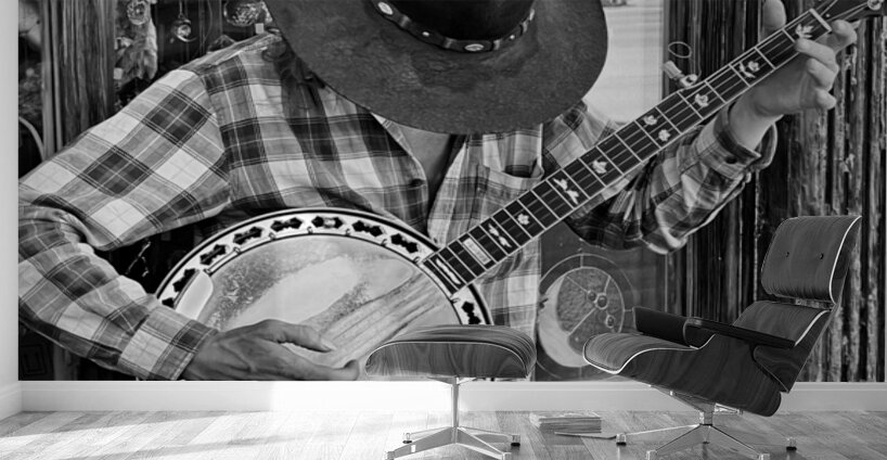 The Entertainer- Moab Utah Wall Murals