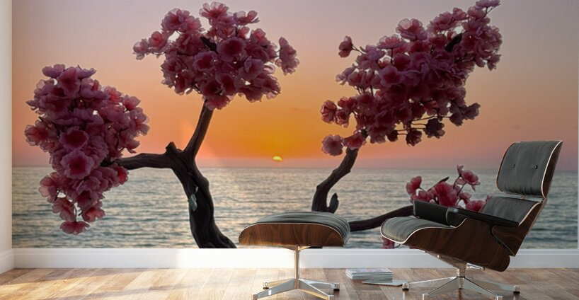 Rosarito Sunset - Rosarito Baja Mexico Wall Murals