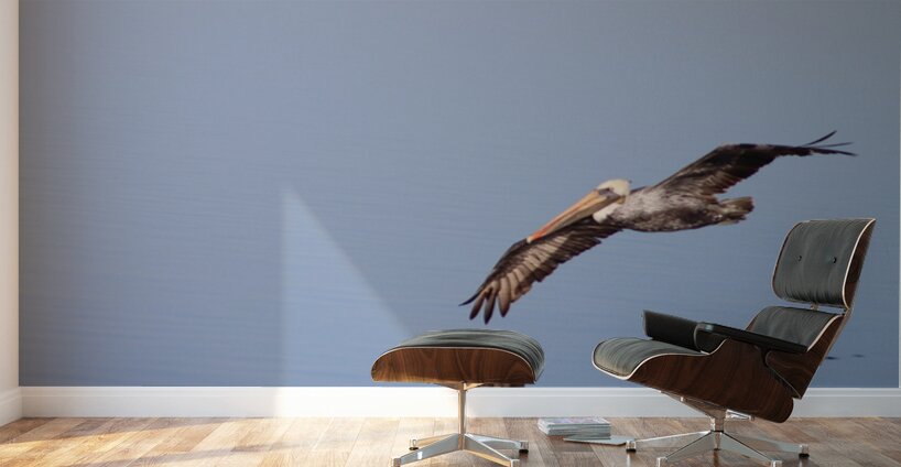 Touching the liquid sky Wall Murals